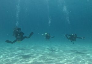座間味の白い砂地を3人のダイバーが手を広げて飛ぶように泳ぐ夏のダイビング風景